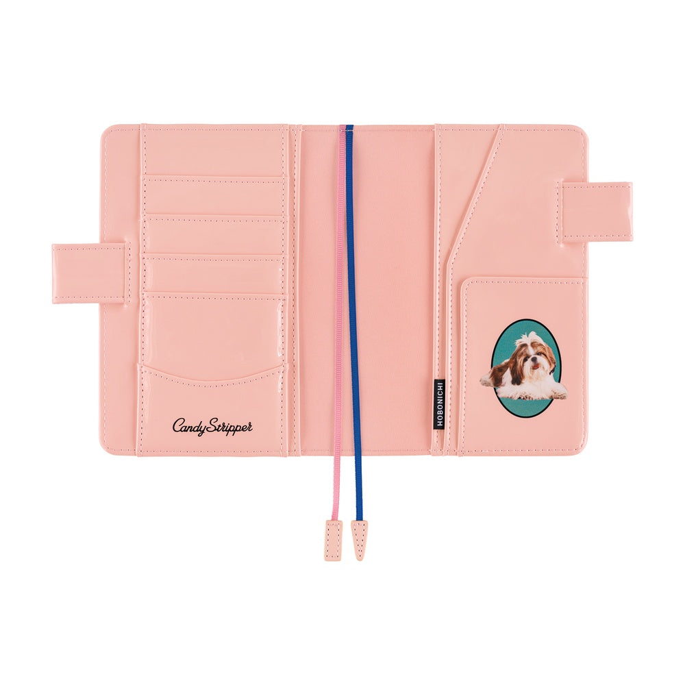 A6 Book & Cover / Candy Stripper