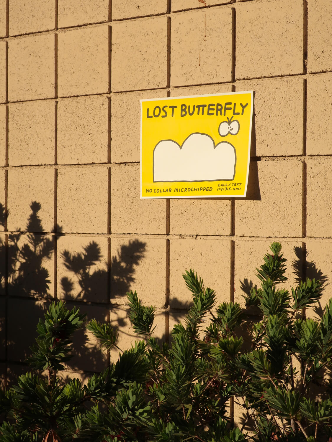 Art Print/ Lost Butterfly