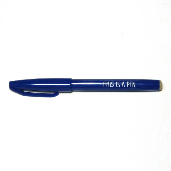 Pen/ THIS IS A PEN