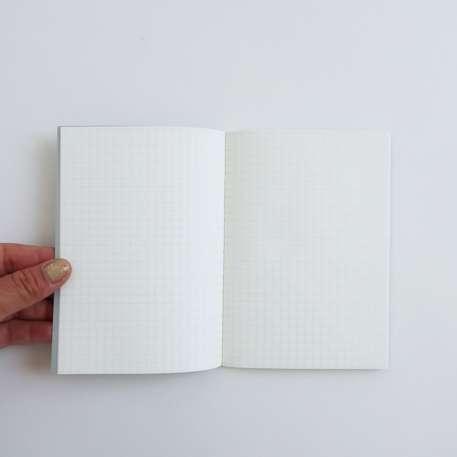 PISTACHIO Notebook N79/ A6 (LIFE)