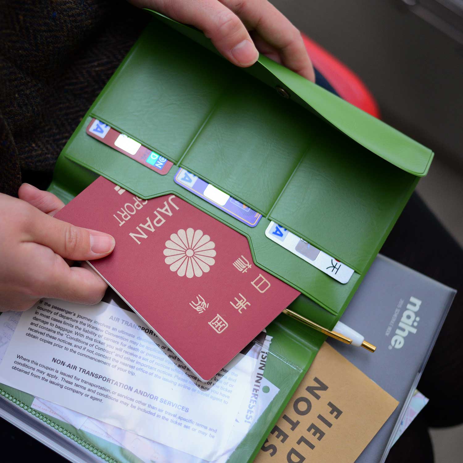 Travel Organizer (NÄHE)