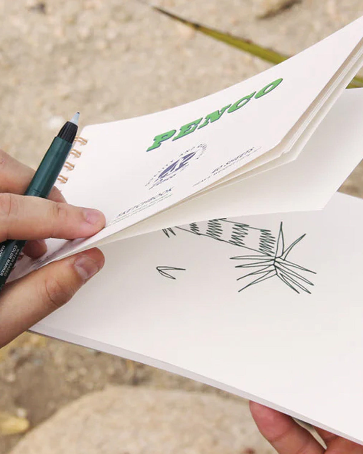 Joshua Tree Journal by Keiji Ishida