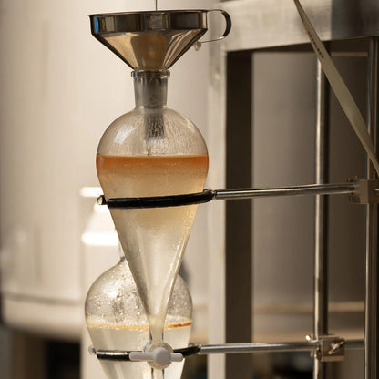 Hinoki Essential Oil