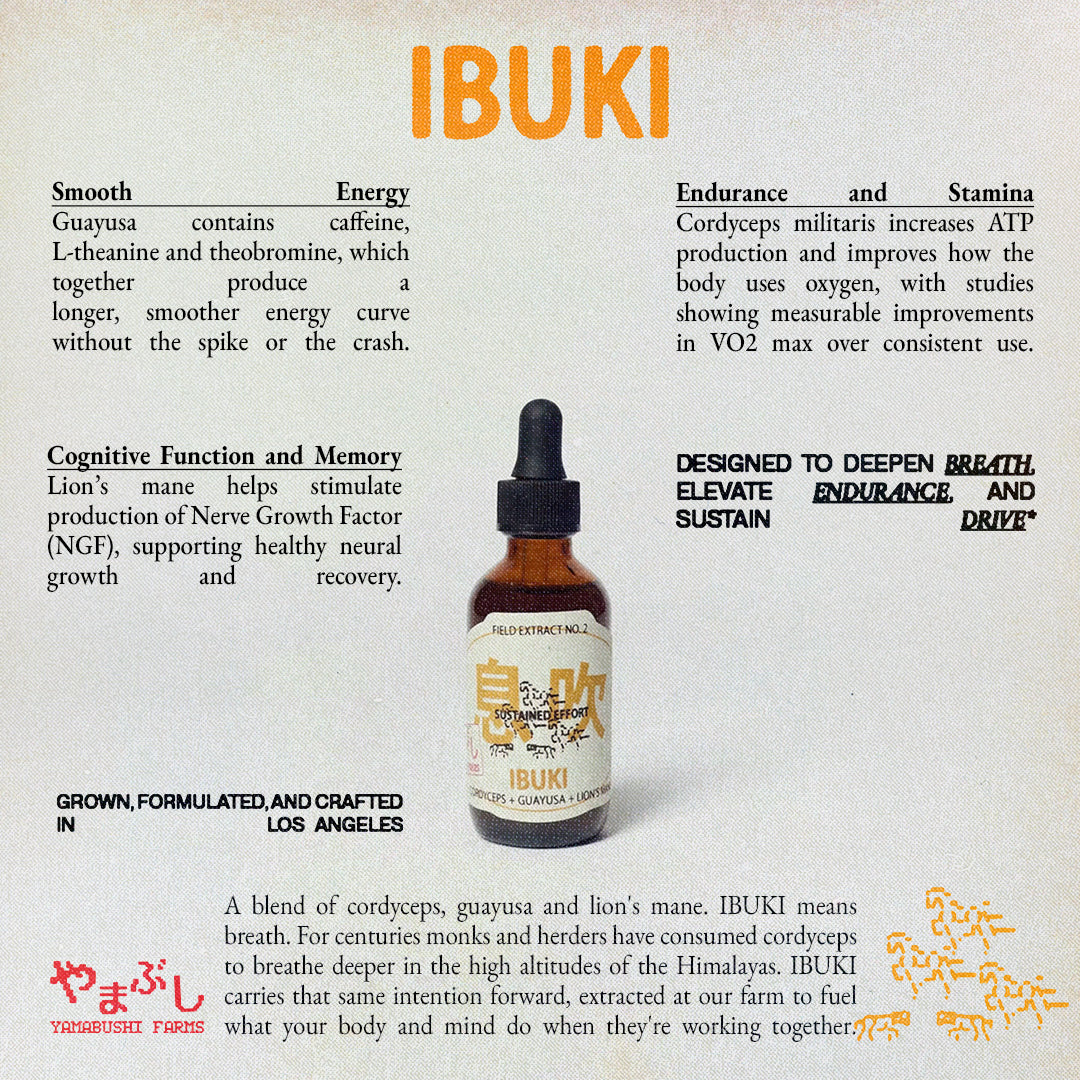 Ibuki Tincture