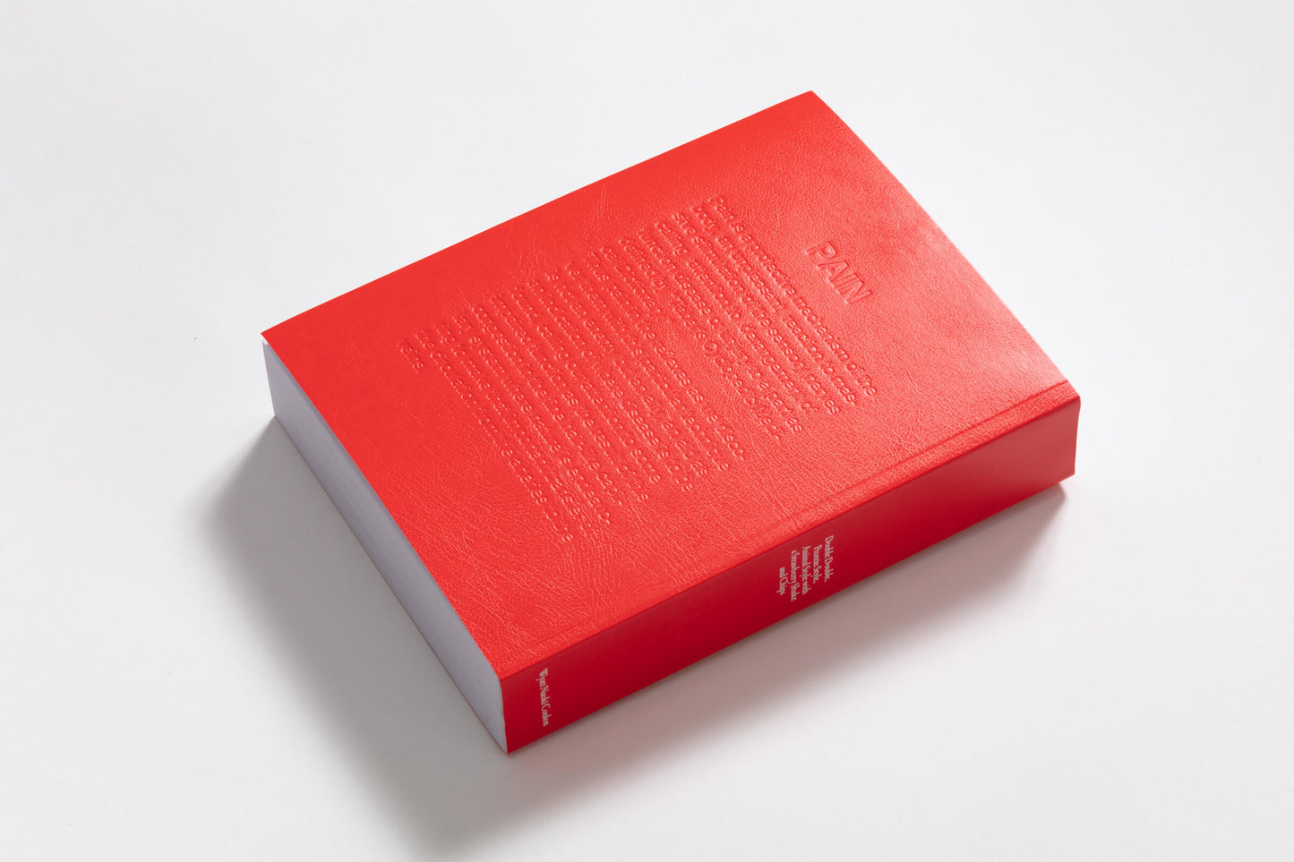 Double Double, Protein Style, Animal Style with a Strawberry Shake and Chips / Wyatt Naoki Conlon