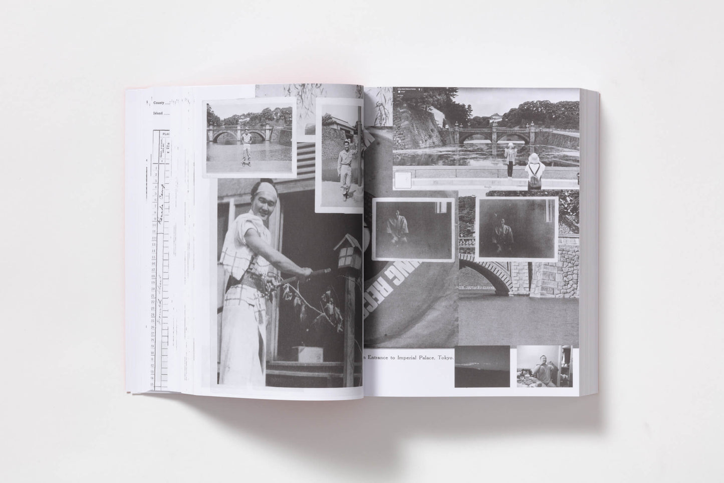 Double Double, Protein Style, Animal Style with a Strawberry Shake and Chips / Wyatt Naoki Conlon