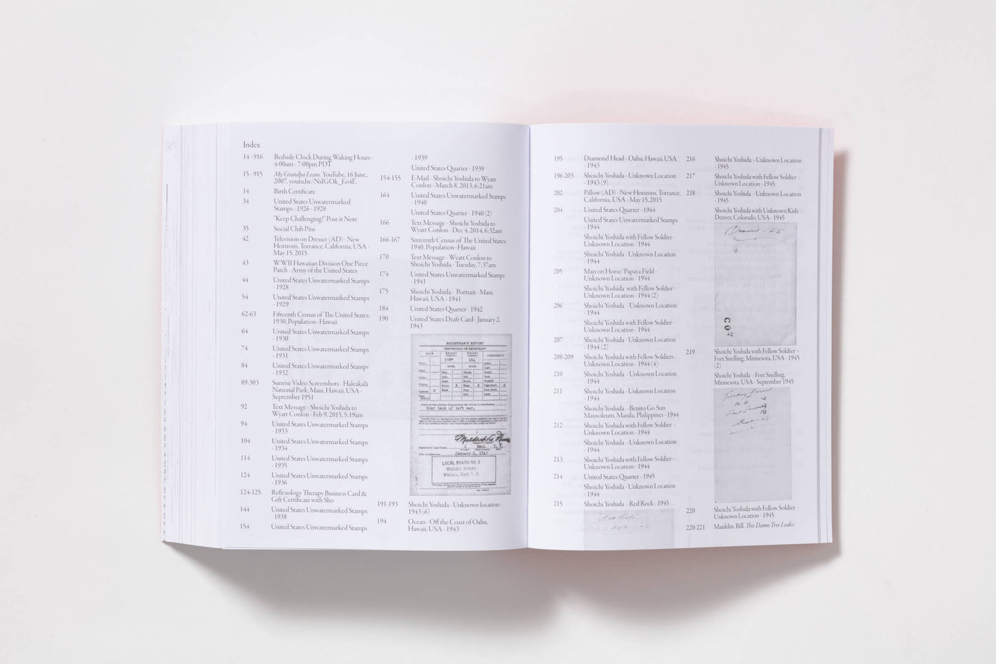 Double Double, Protein Style, Animal Style with a Strawberry Shake and Chips / Wyatt Naoki Conlon