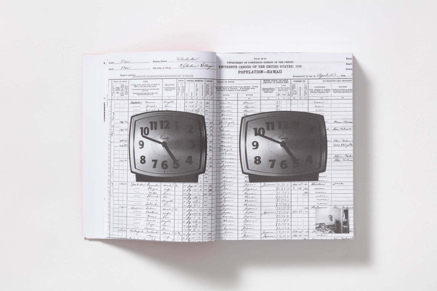 Double Double, Protein Style, Animal Style with a Strawberry Shake and Chips / Wyatt Naoki Conlon