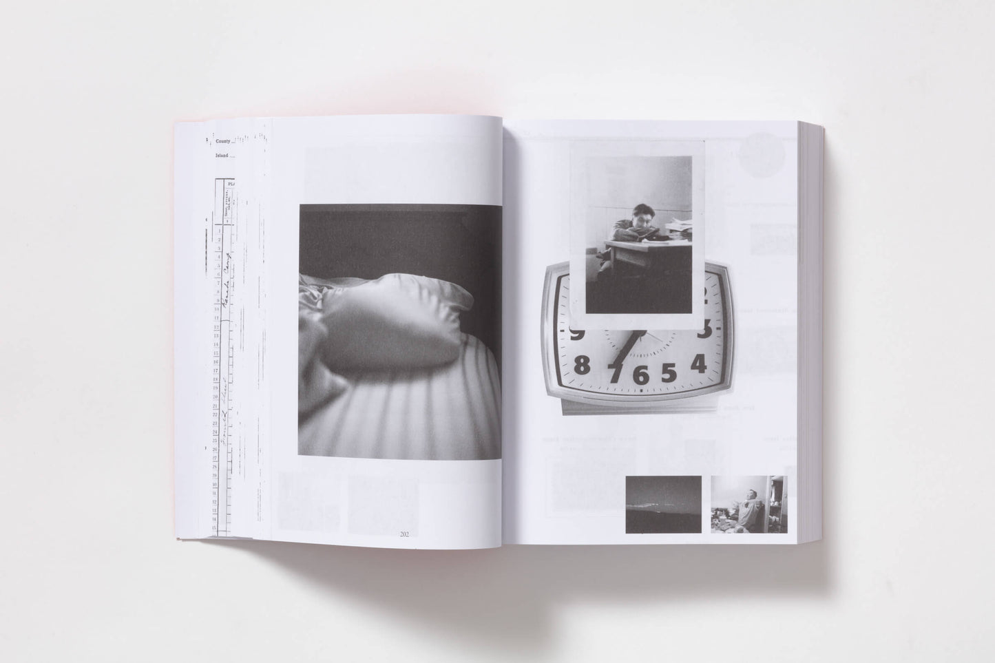 Double Double, Protein Style, Animal Style with a Strawberry Shake and Chips / Wyatt Naoki Conlon