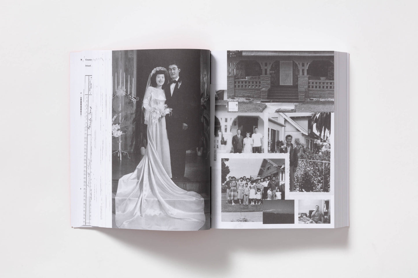 Double Double, Protein Style, Animal Style with a Strawberry Shake and Chips / Wyatt Naoki Conlon