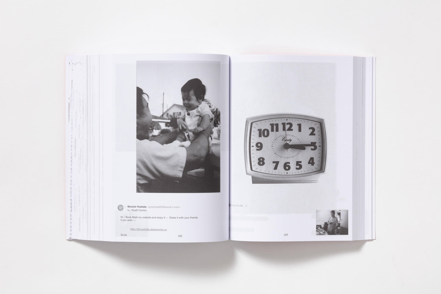 Double Double, Protein Style, Animal Style with a Strawberry Shake and Chips / Wyatt Naoki Conlon