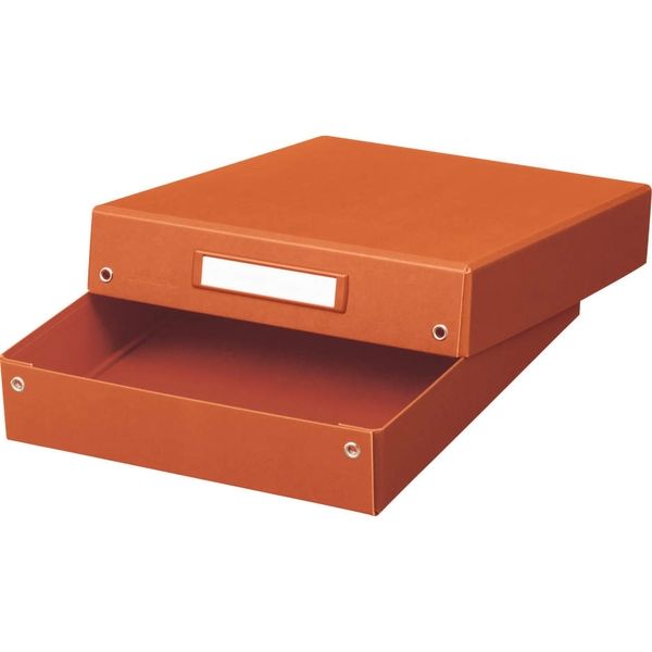 Office Storage Box/ A4 (LION)