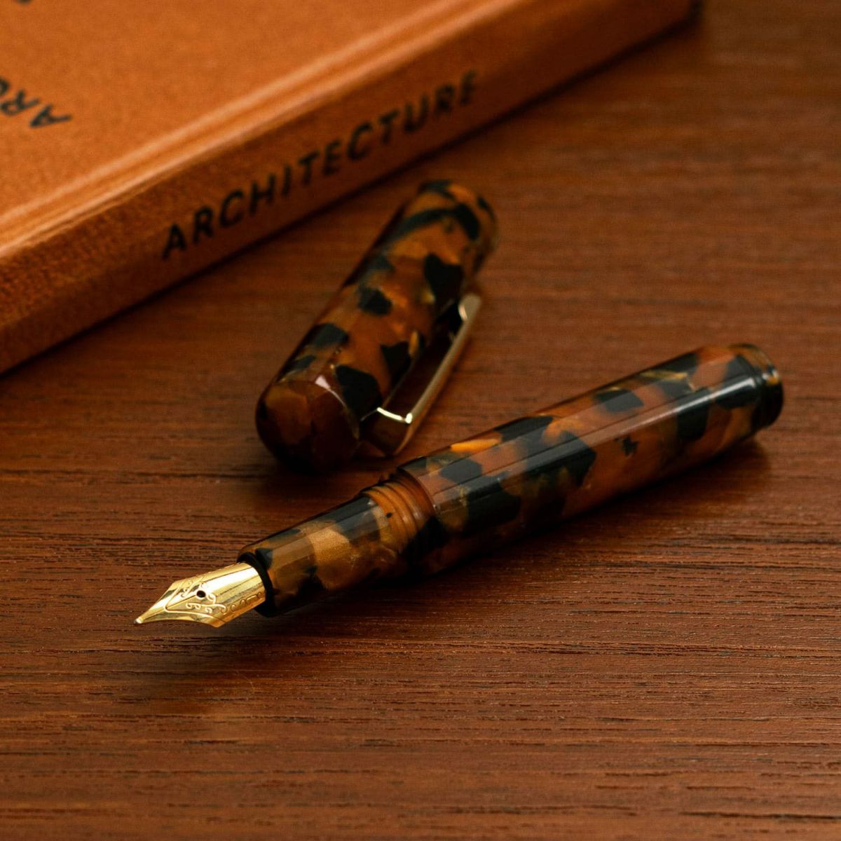 Marbled Fountain Pen
