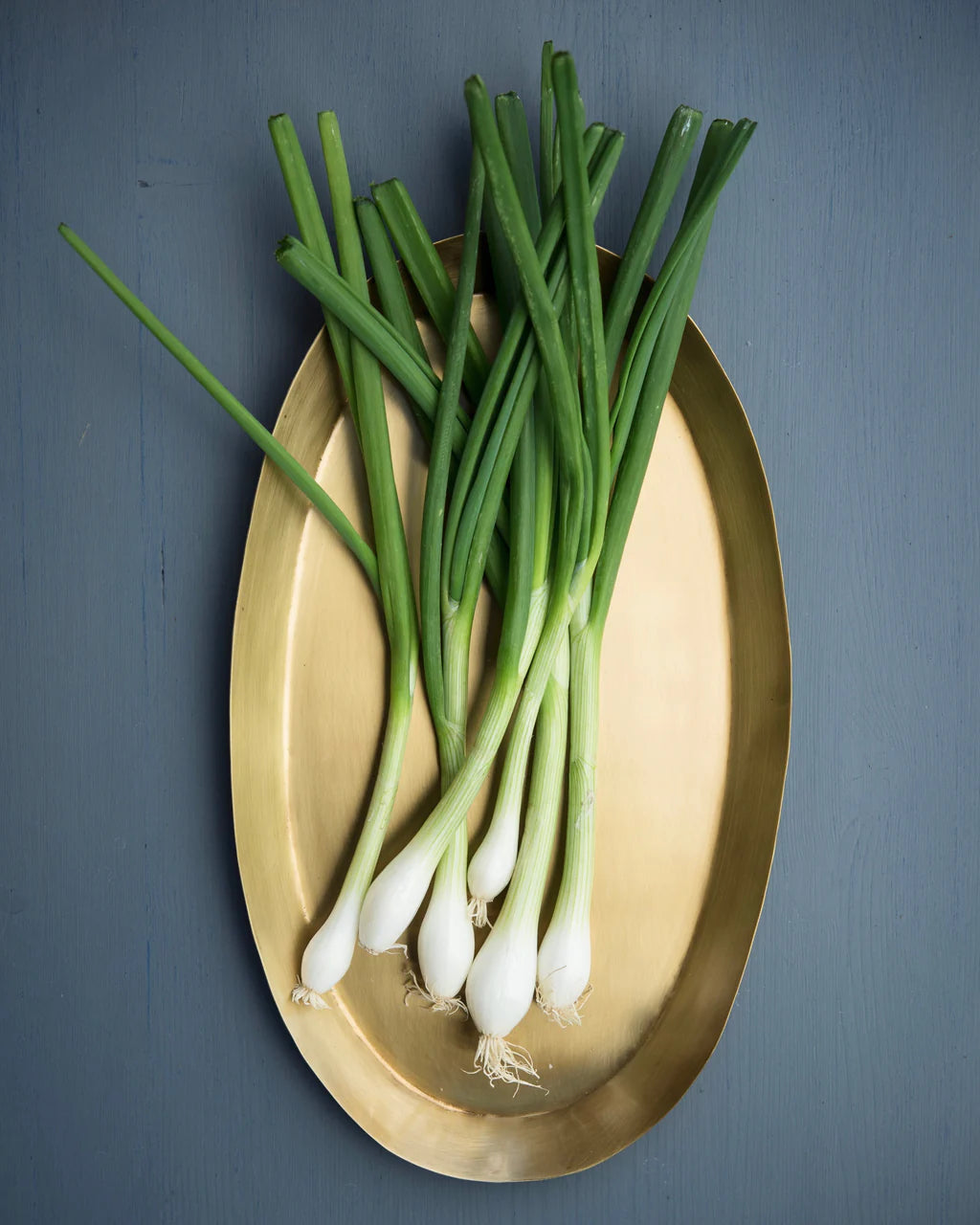 Fog linen work / Brass Oval Tray / Medium