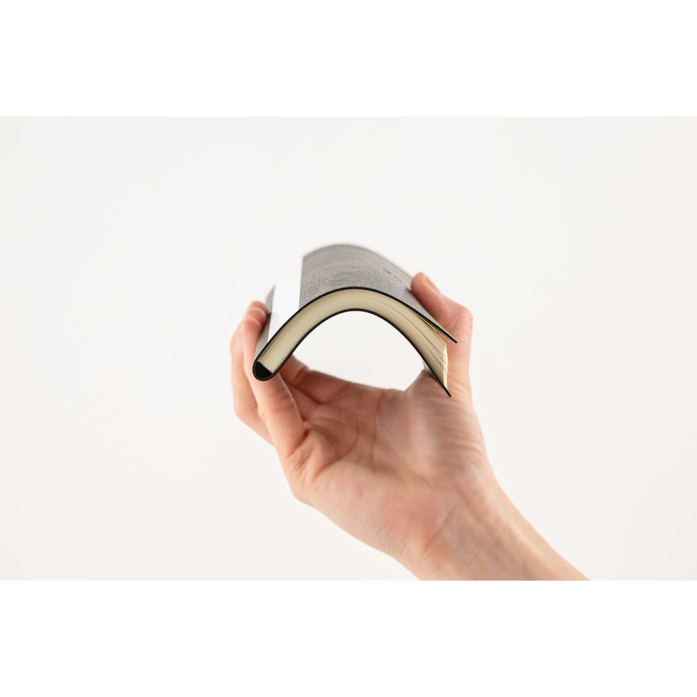 2026 Spring / Weeks JP / White Line