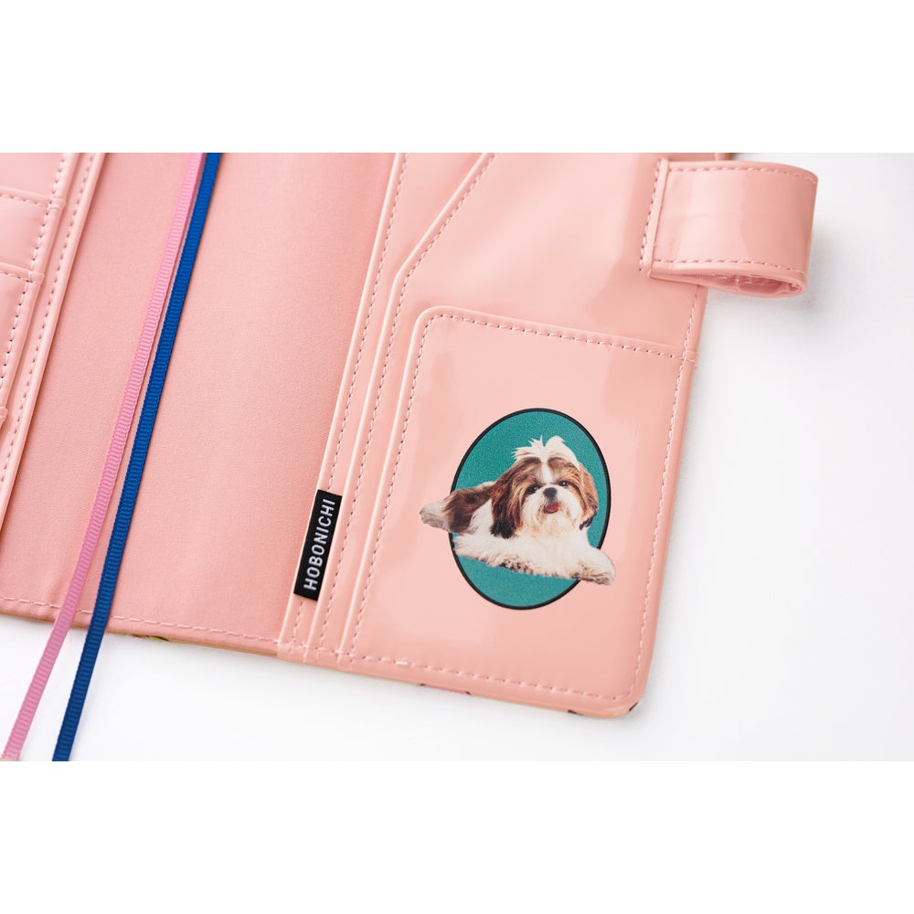 A6 Book & Cover / Candy Stripper