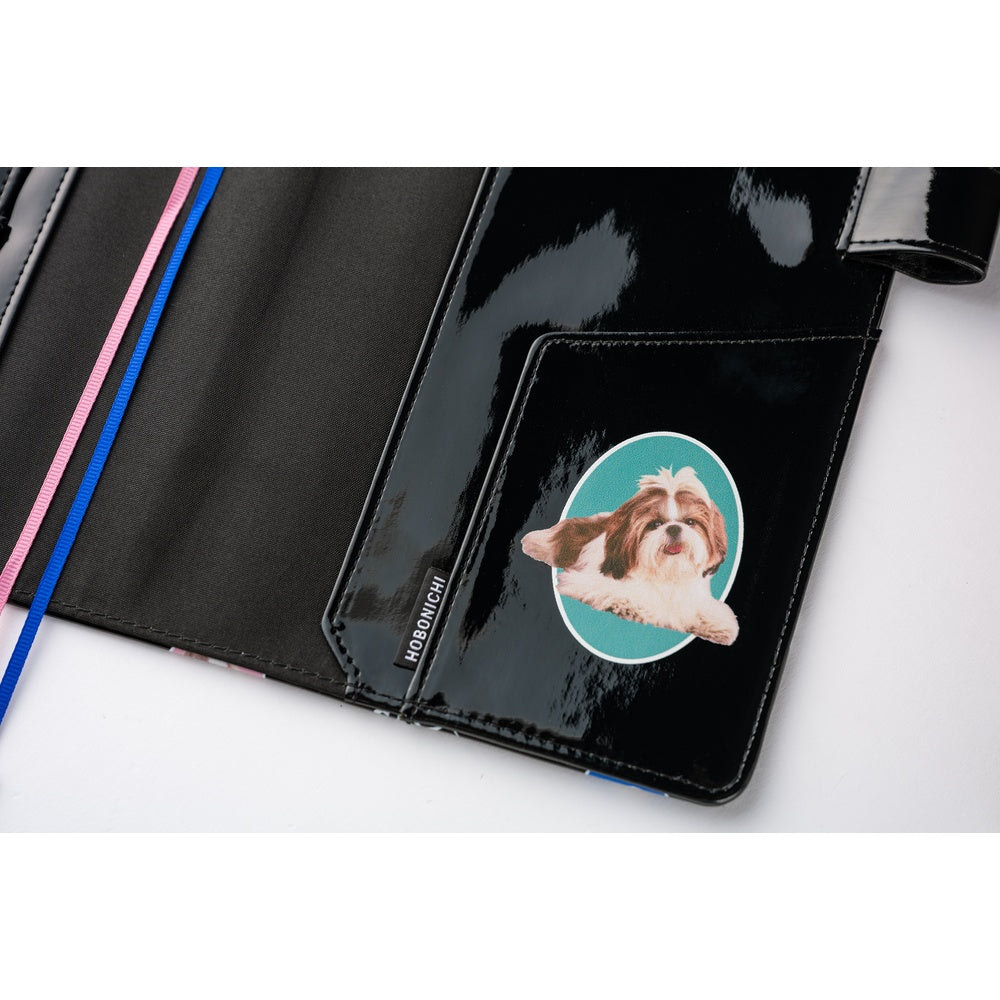 A5 Cousin & Cover / Candy Stripper