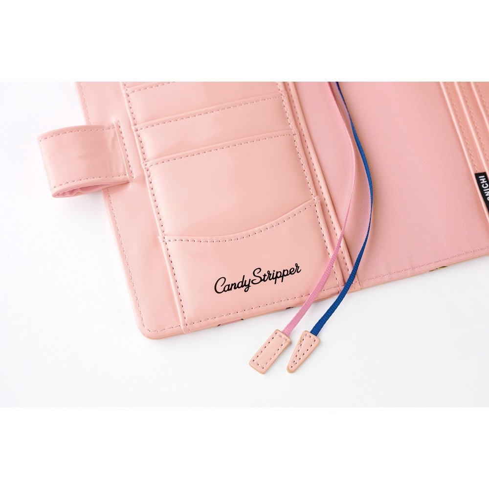 A6 Book & Cover / Candy Stripper