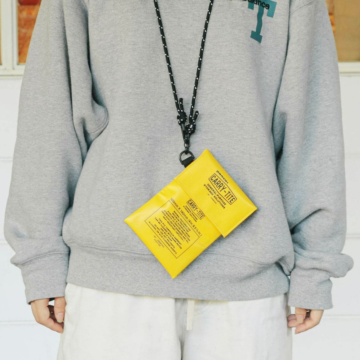 Carry Tite Case 2023 / S  (PENCO)