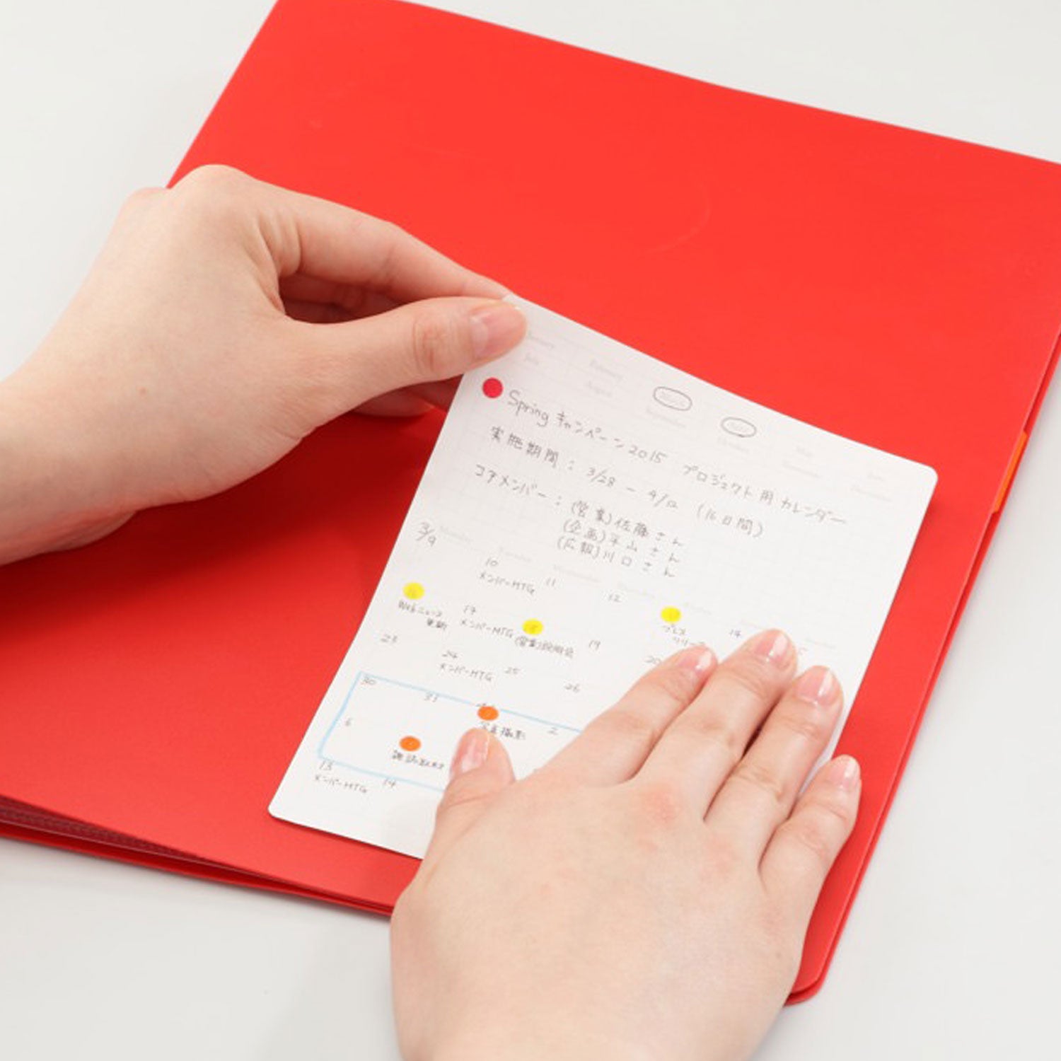 Removable Calendar Sticker M (STALOGY)