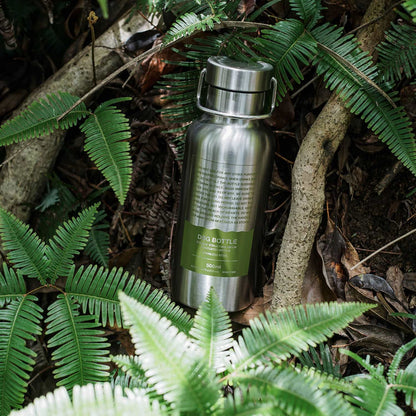 Stainless Steel Bottle