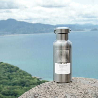 Stainless Steel Bottle