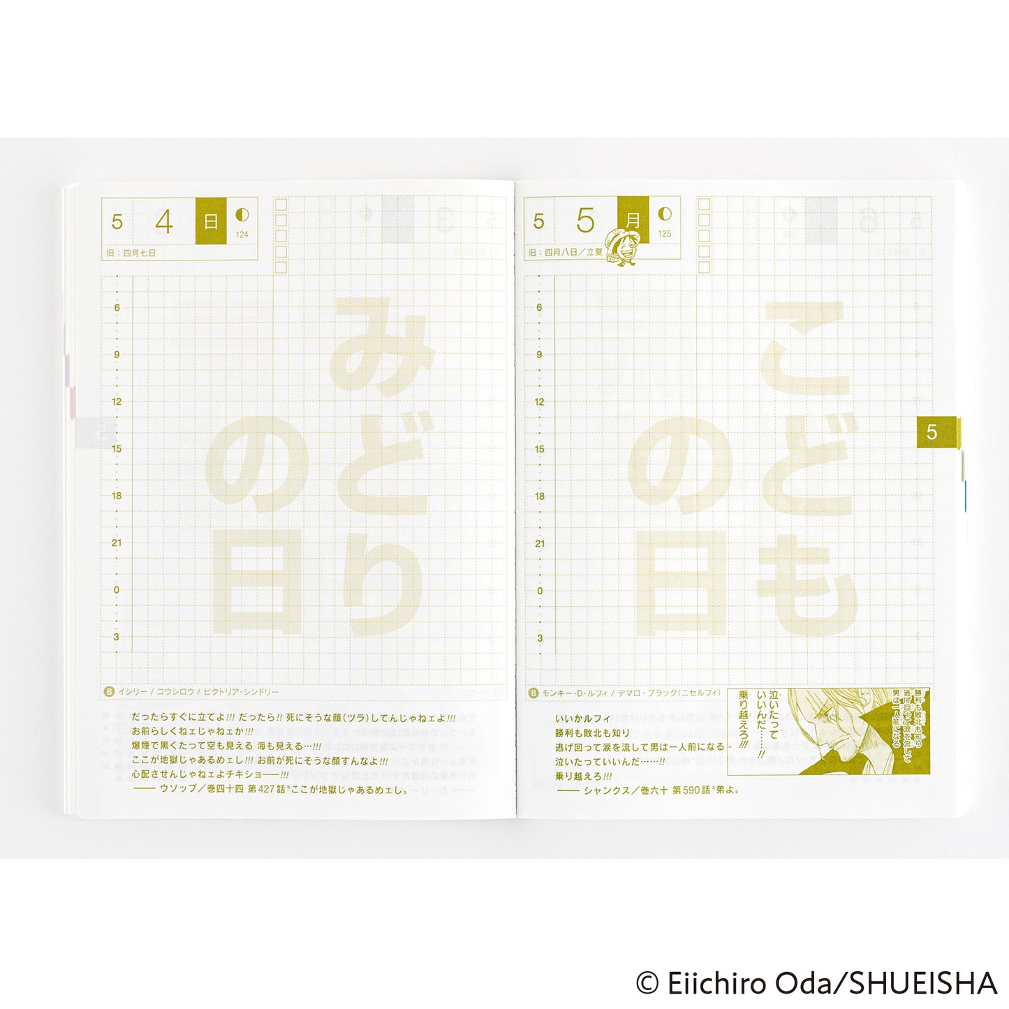 2025 Hobonichi Techo A6 Original Book - One Piece Edition