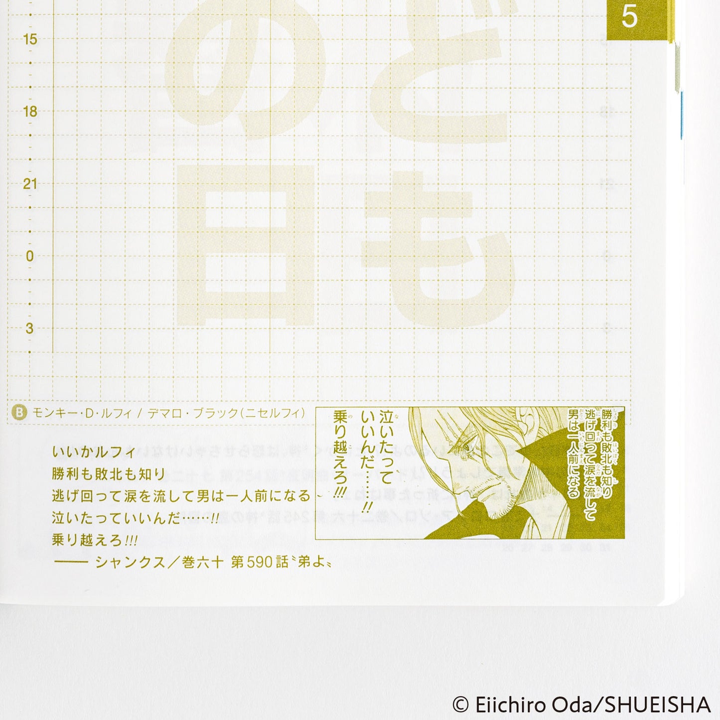 2025 Hobonichi Techo A6 Original Book - One Piece Edition