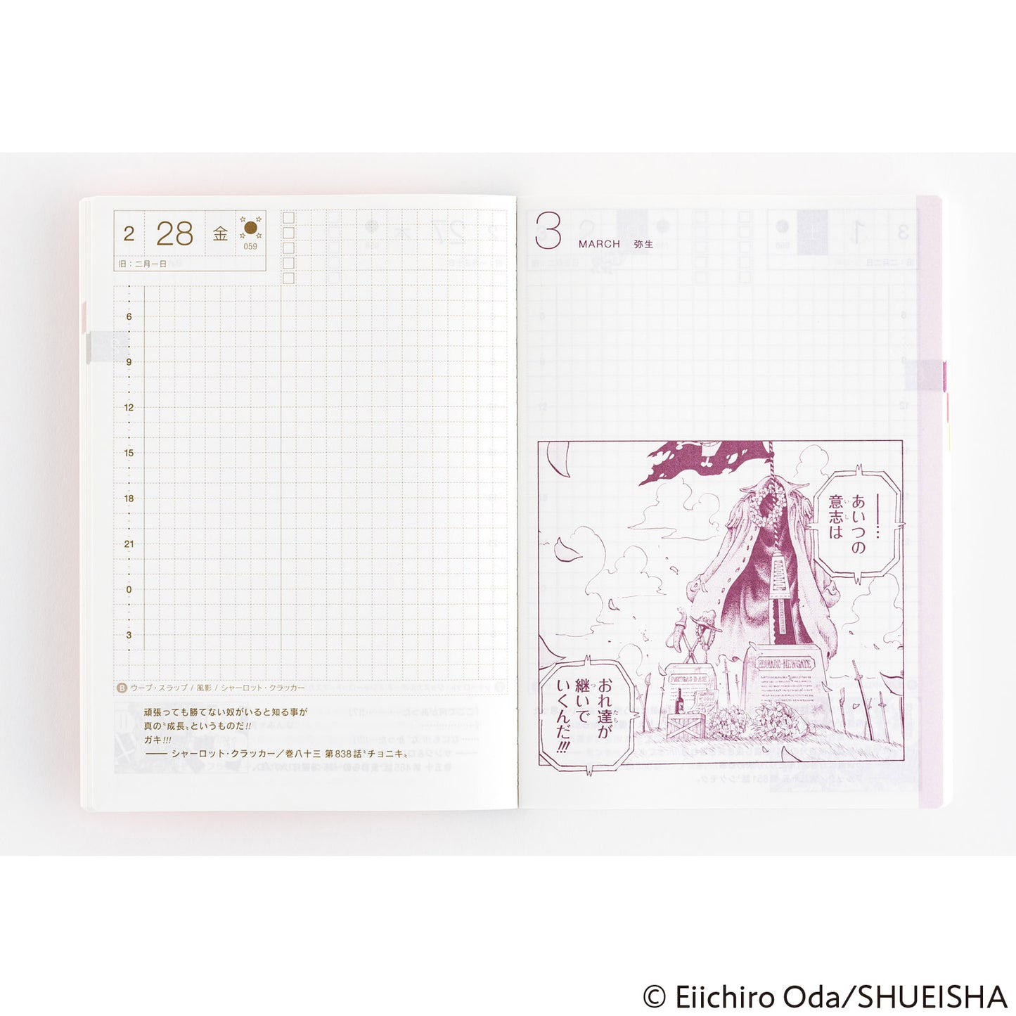 2025 Hobonichi Techo A6 Original Book - One Piece Edition