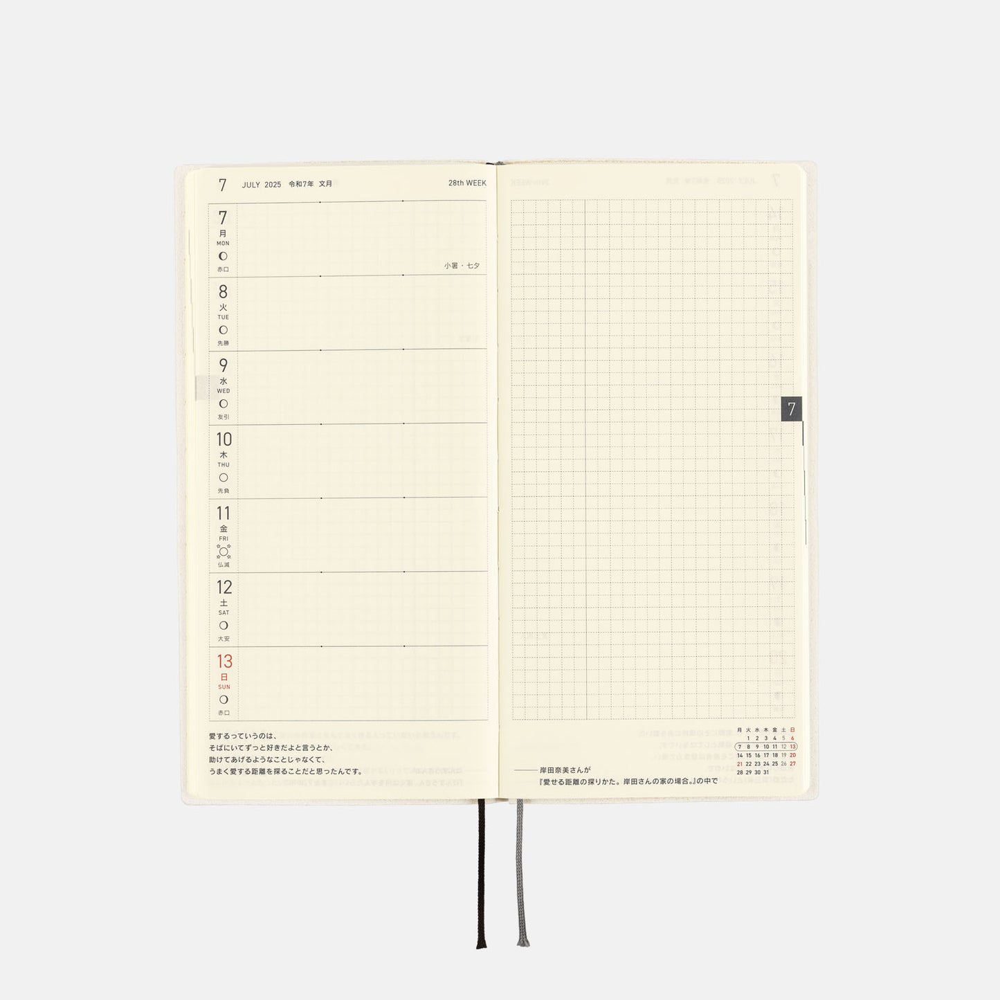 2025 Planner / Weeks White Line