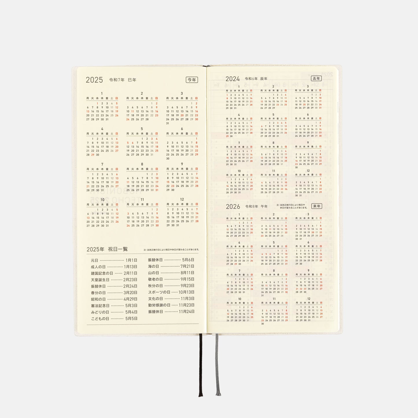 2025 Planner / Weeks White Line