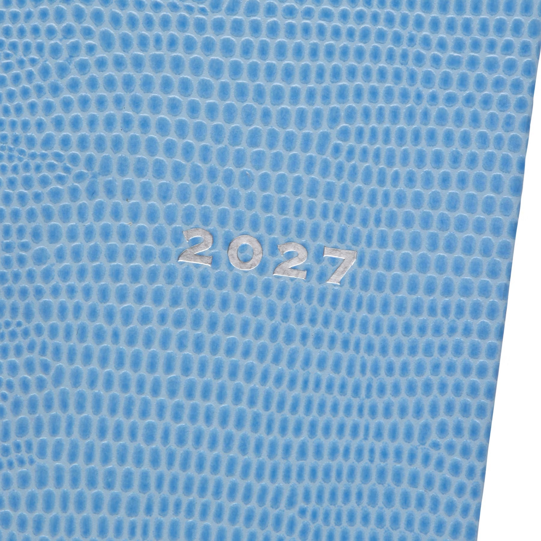 2027 Monthly Planner Reptila A5