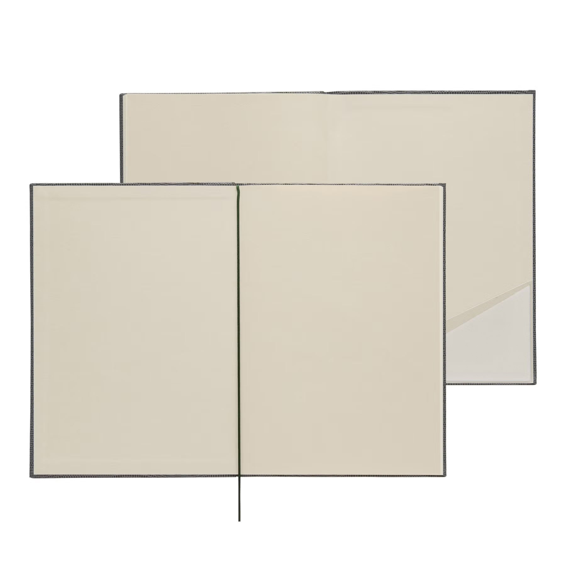 2027 Monthly Planner Reptila A5