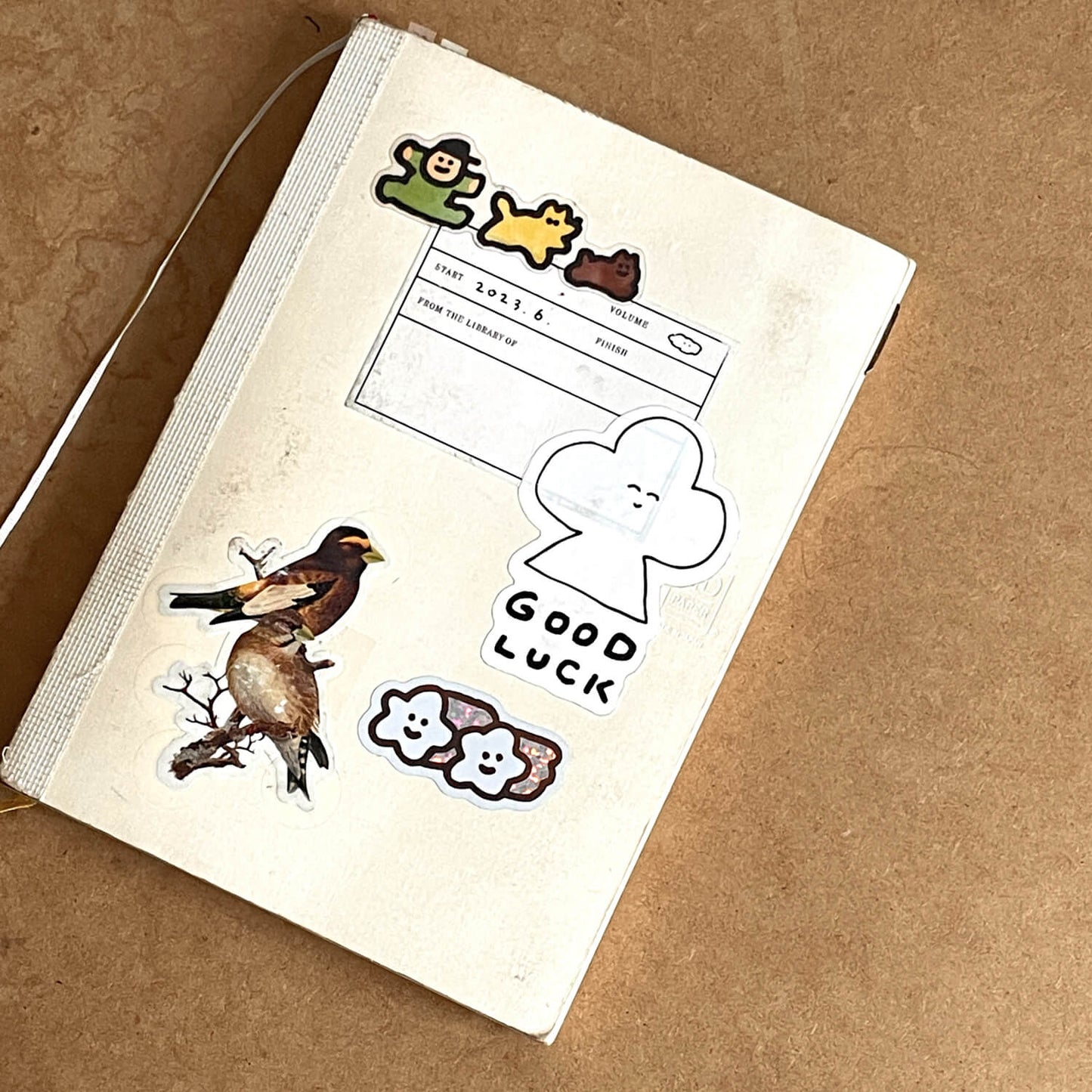 Sticker/ Shooting Star Twin