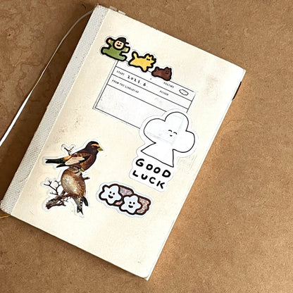 Sticker/ Shooting Star Twin