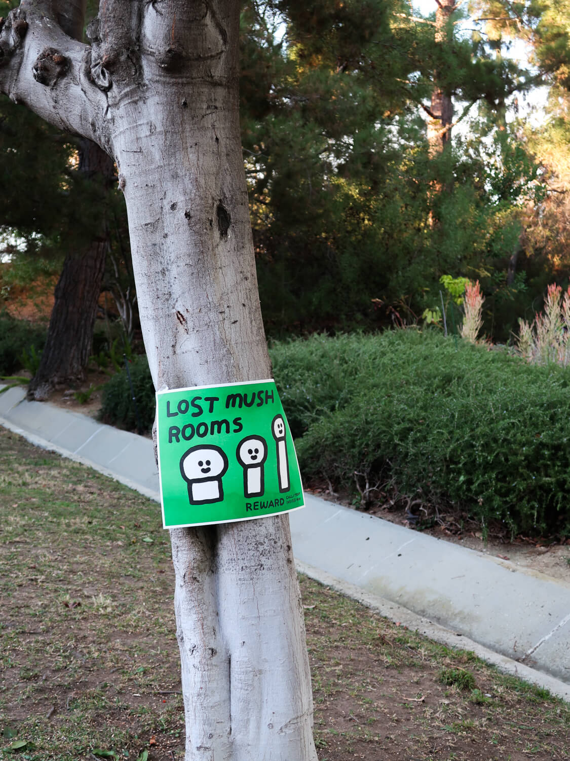 Art Print/ Lost Mushrooms