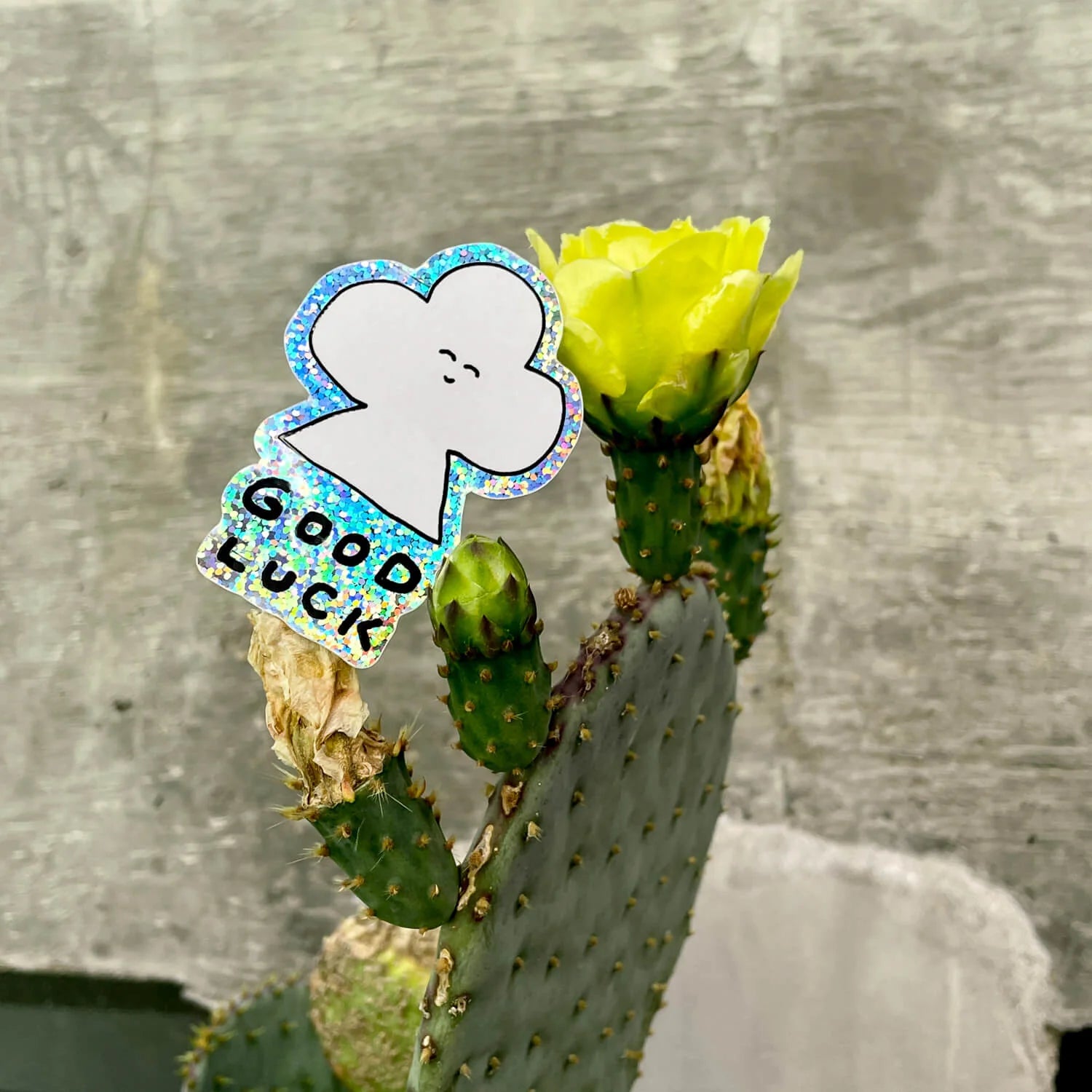 Sticker/ Good Luck Sparkling