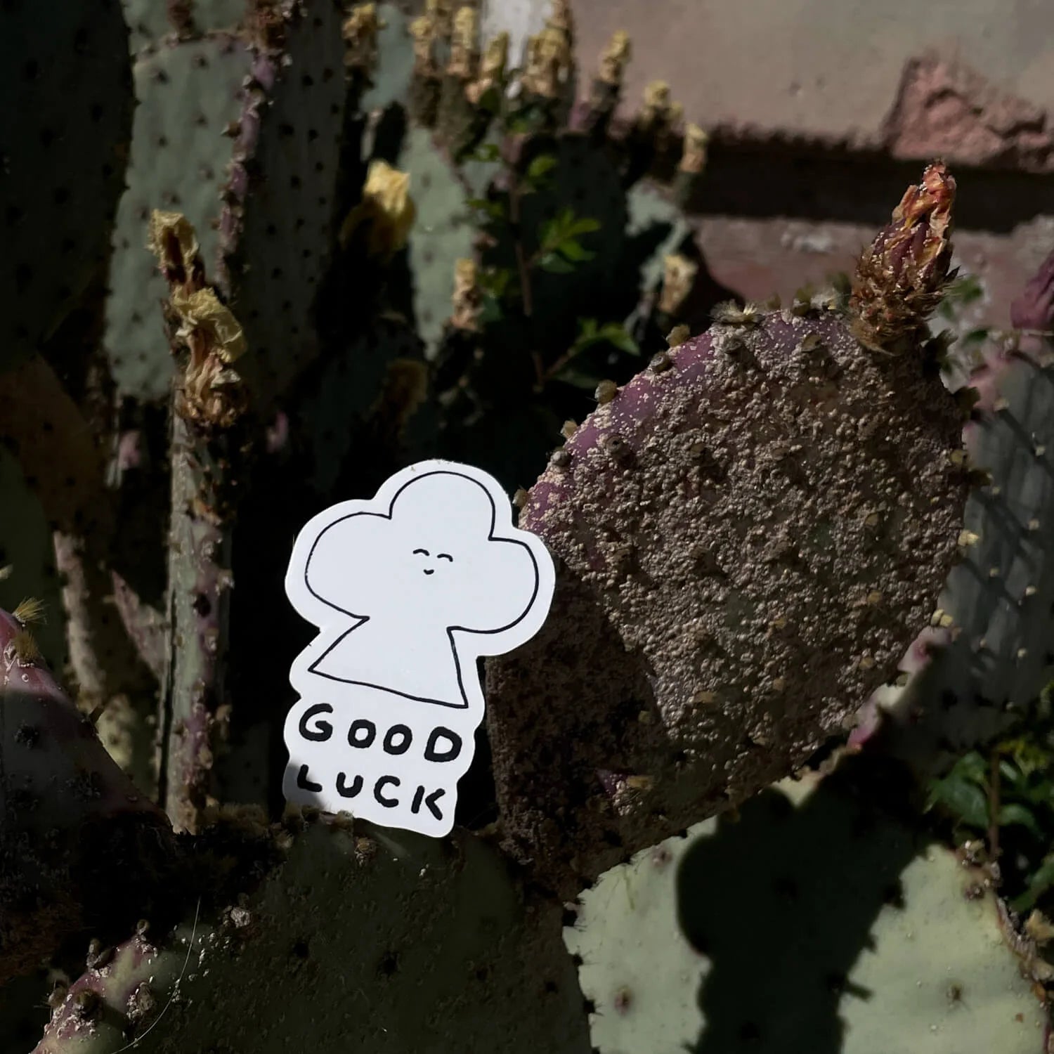 Sticker/ Good Luck