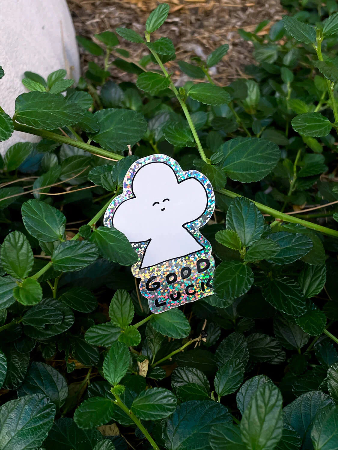 Sticker/ Good Luck