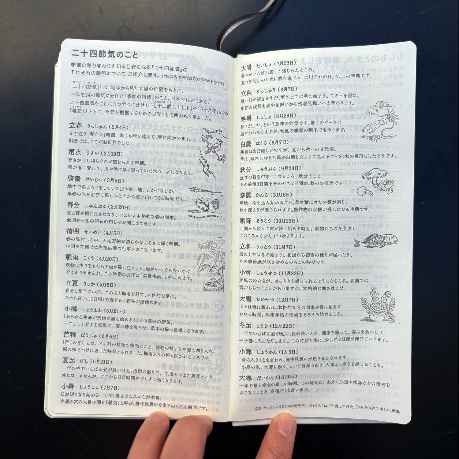 2026 Spring / Weeks JP Colors