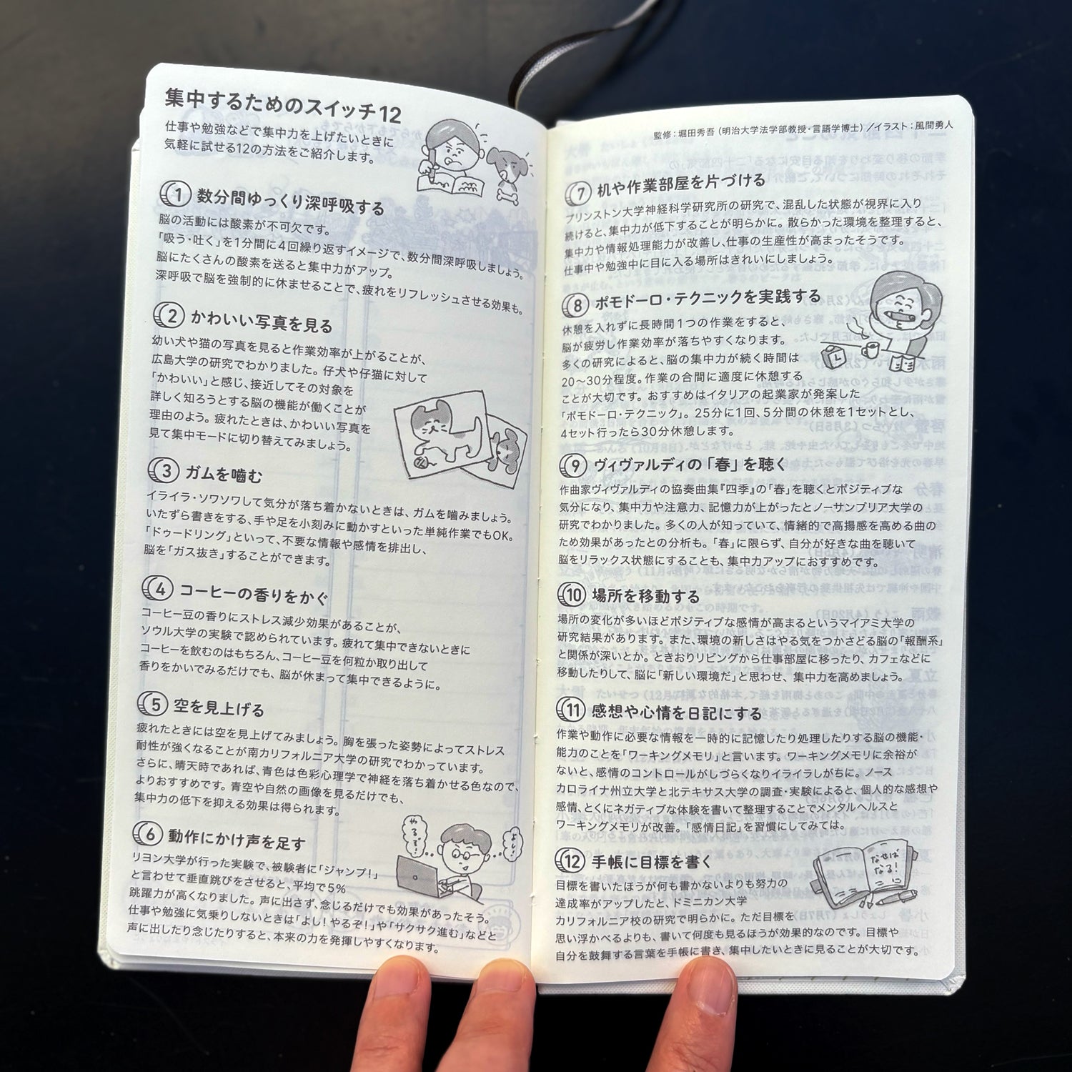 2026 Spring / Weeks JP Colors