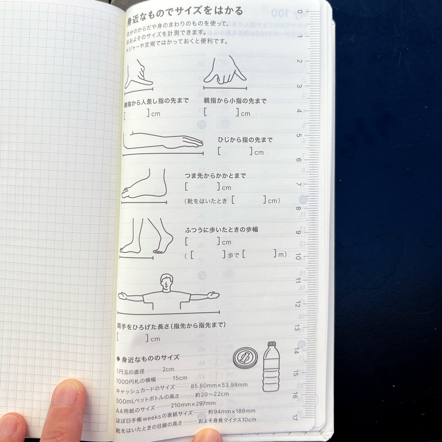 2026 Spring / Weeks JP Colors