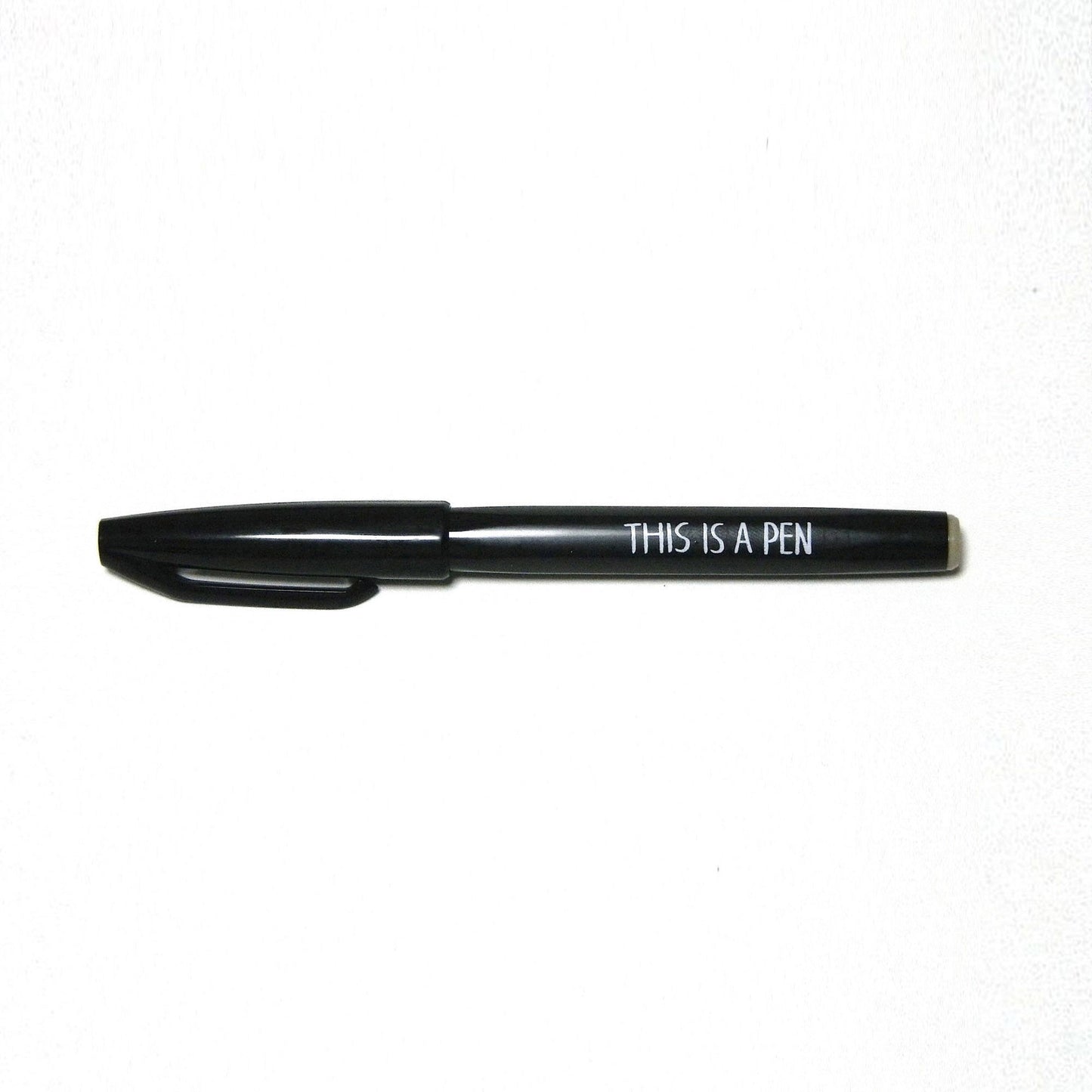 Pen/ THIS IS A PEN (NORITAKE)