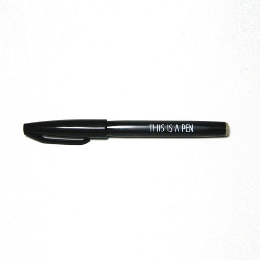 Pen/ THIS IS A PEN (NORITAKE)