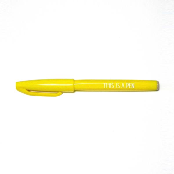 Pen/ THIS IS A PEN | $6.00