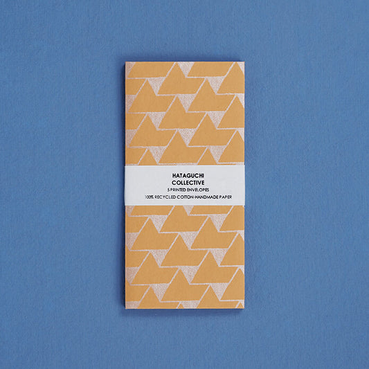 Large Envelope Set of 5 / Jaipur