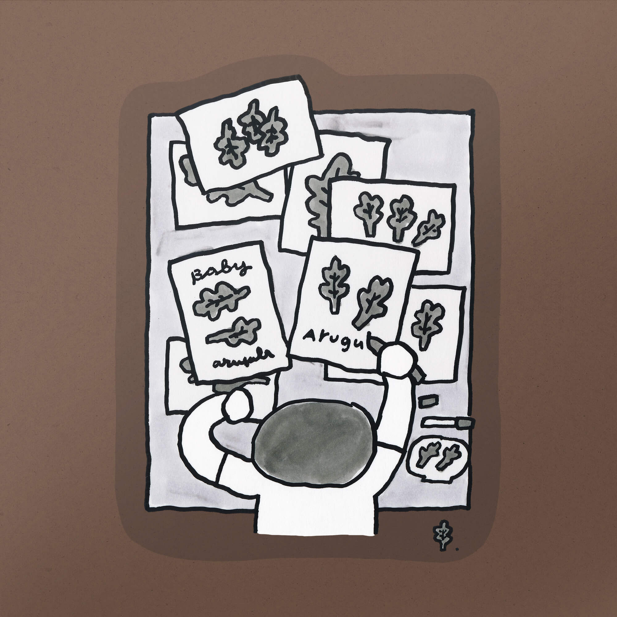 Sticker/ Drawing Baby Arugula