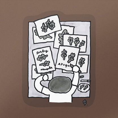 Sticker/ Drawing Baby Arugula