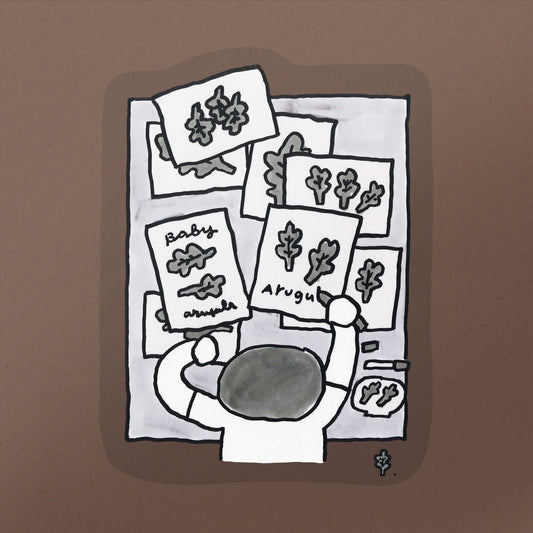 Sticker/ Drawing Baby Arugula