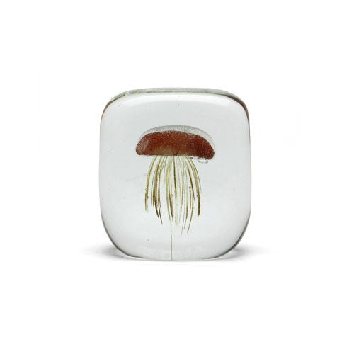 Jellyfish Paperweight / Square